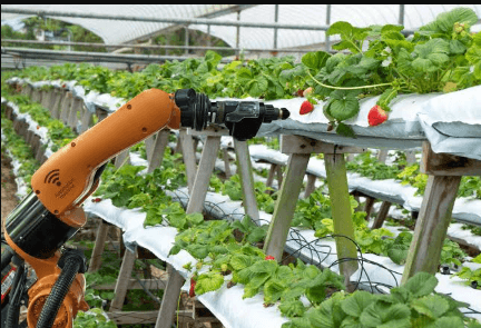 AI and the Future of Sustainable Farming